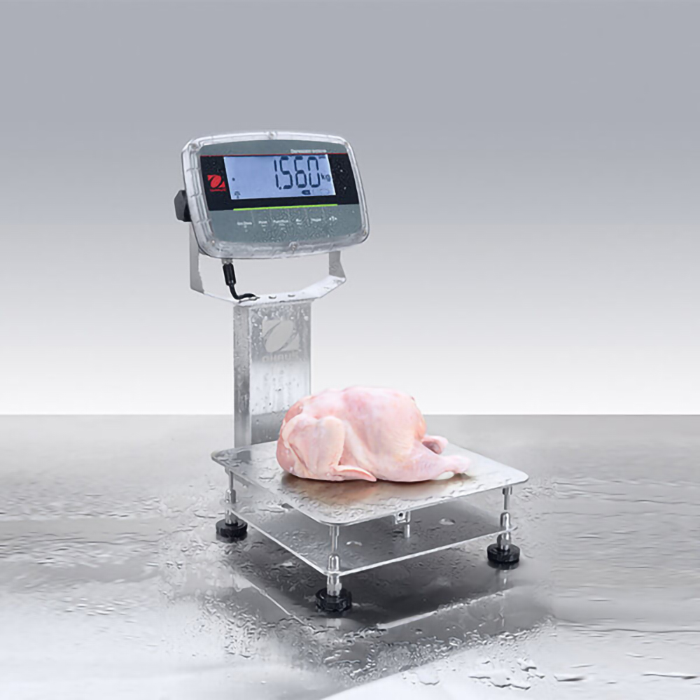 OHAUS Defender 6000 i-D61PW150K1L7 | 150 kg x 10 g | Extreme Washdown Bench Scale - Image 4