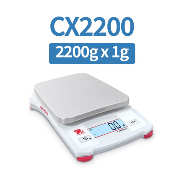 CX2200 Portable Electronic Scale 2200g-1g.jpg